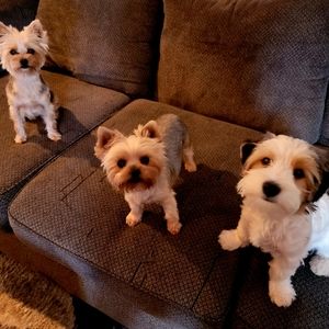 Meet your Posher, Florence